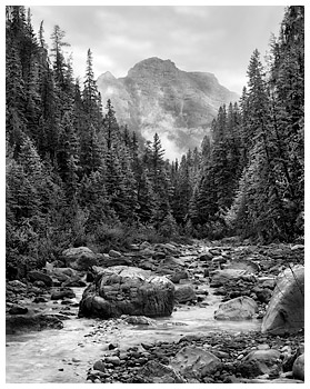 Cougar Creek, Canmore AB
