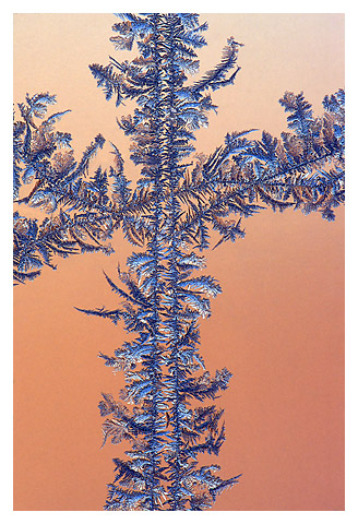 Window Frost, macro