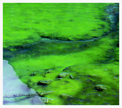 Grassi Lakes, Canmore AB