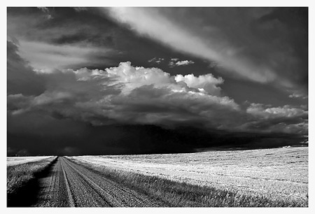 Prairie Storm