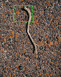 Ground Detail, Drumheller AB