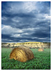 Bales in Badlands