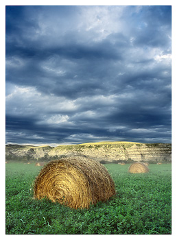 Bales in Badlands
