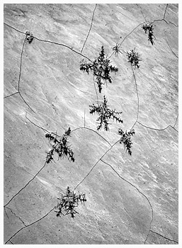 Earth Deail, Drumheller AB