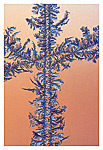 Window Frost