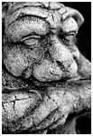 Gargoyle
