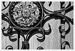 Iron Flower