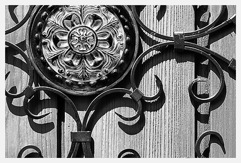 Iron Flower