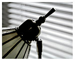 Lamp Study