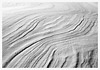 Snow Dune Triptych
