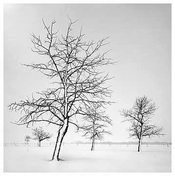 After the Blizzard
