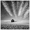 Wheatland County