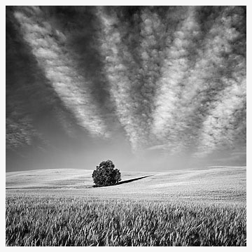 Wheatland County